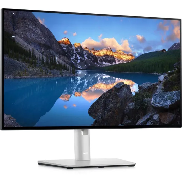 Dell UltraSharp 24 Monitor - U2424H without stand, 60.47cm (23.8") / 210-BLBT