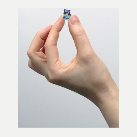 Goodram Memory card microSD 256GB Rival UHS-I V30 U3 C10 A2 170/120MBs