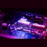 Goodram Memory DDR5 Rival SODIMM 32GB(2*16) CL40