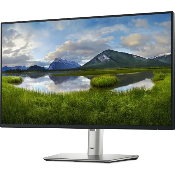 Dell 24 Monitor - P2425H, 60.5cm (23.8") / 210-BMFF