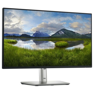 Dell 24 Monitor - P2425H, 60.5cm (23.8") / 210-BMFF