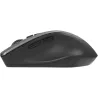 Asus Mouse | WT425 | Wireless | Glossy White