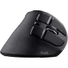 Trust MOUSE USB OPTICAL ERGONOMIC/VOXX 23731 TRUST