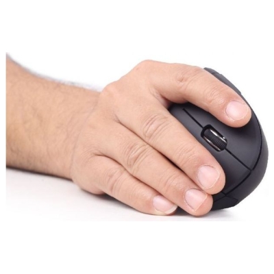 Gembird | MUSW-ERGO-01 | Optical Mouse | 2.4GHz Wireless Optical Mouse | USB | Black