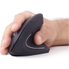 Gembird | MUSW-ERGO-01 | Optical Mouse | 2.4GHz Wireless Optical Mouse | USB | Black