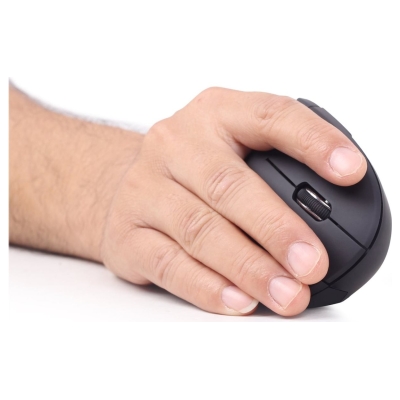 Gembird | MUSW-ERGO-01 | Optical Mouse | 2.4GHz Wireless Optical Mouse | USB | Black