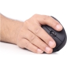 Gembird MOUSE USB OPTICAL WRL BLACK/ERGONOMIC MUSW-ERGO-01 GEMBIRD