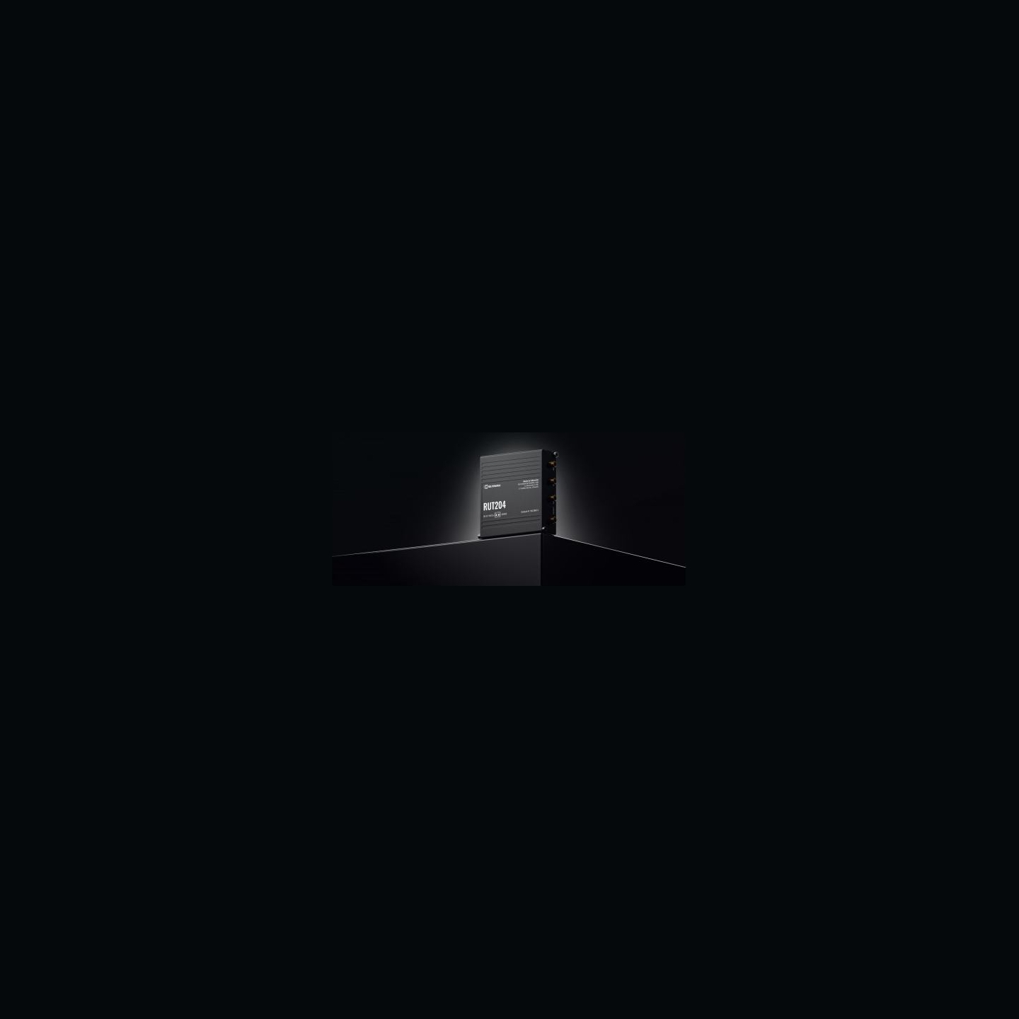 Teltonika Router RUT2040AAAA0