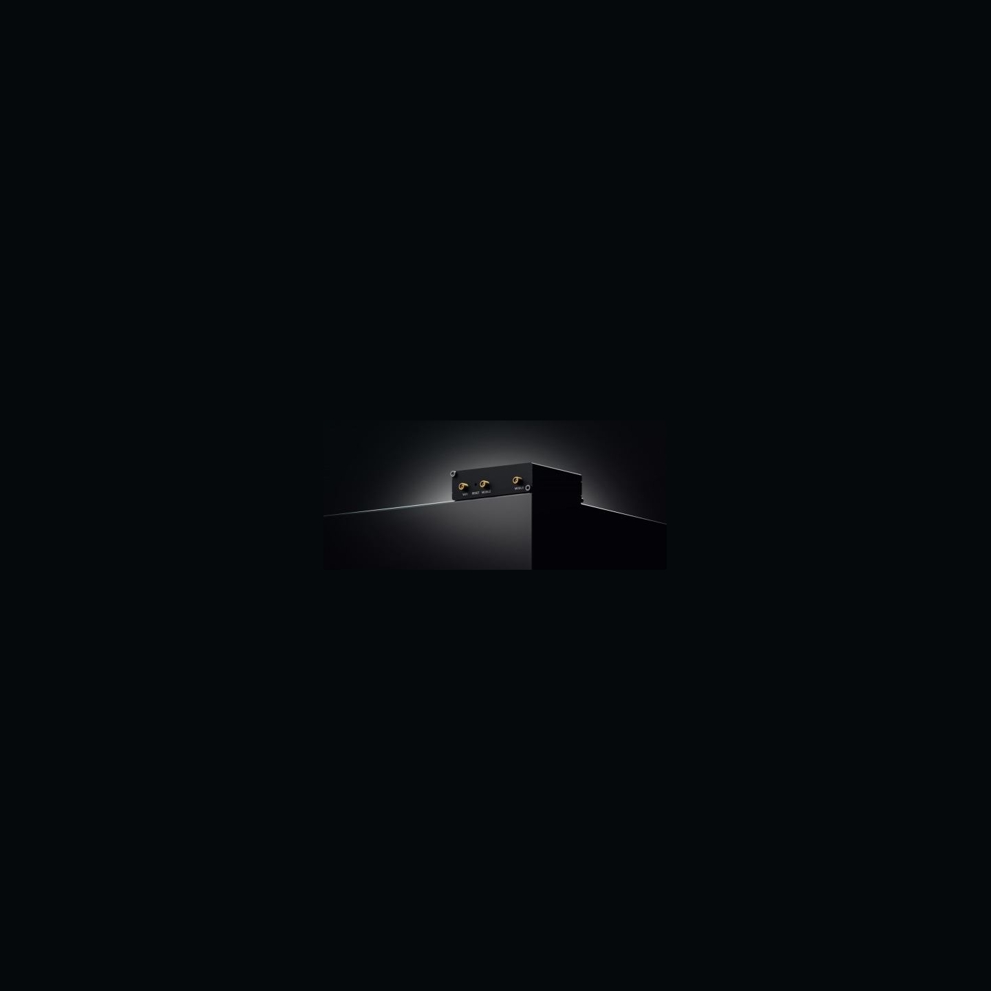 Teltonika Router RUT202AAAAA0