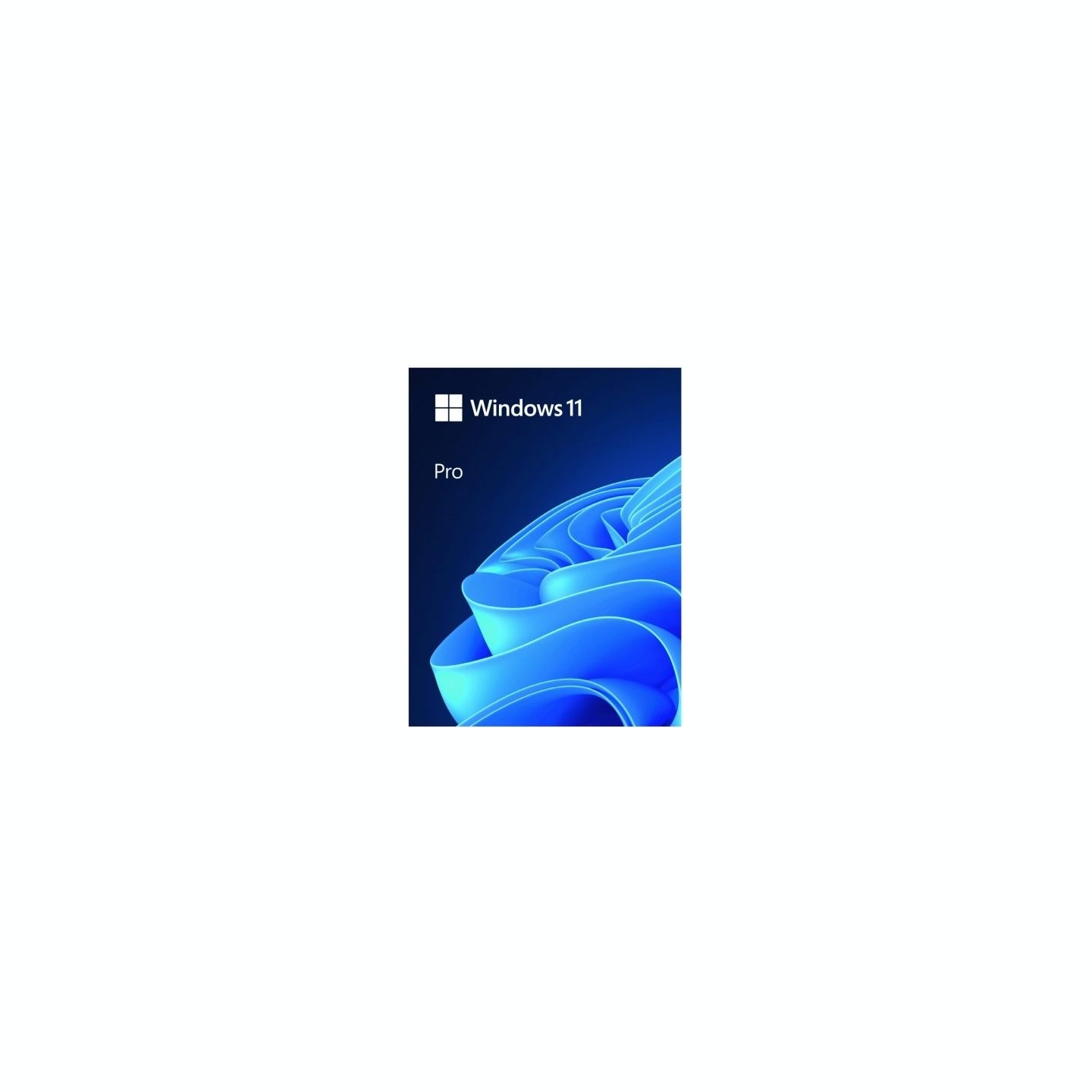 Microsoft Windows Pro 11 64bit PL USB Flash Drive Box HAV-00209 Successor of P/N: HAV-00126