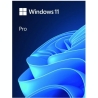 Microsoft Windows Pro 11 64bit PL USB Flash Drive Box HAV-00209 Successor of P/N: HAV-00126