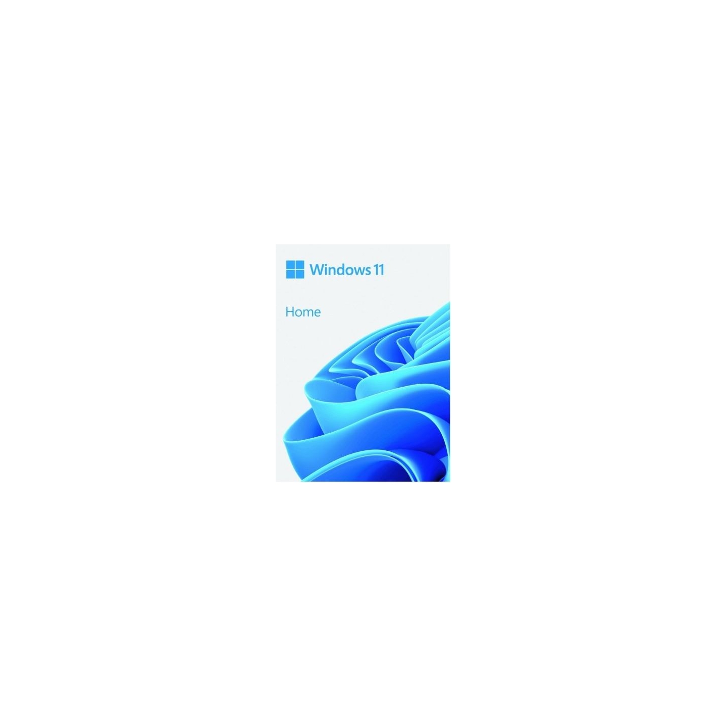 Microsoft Windows Home 11 64bit PL USB Flash Drive Box HAJ-00116