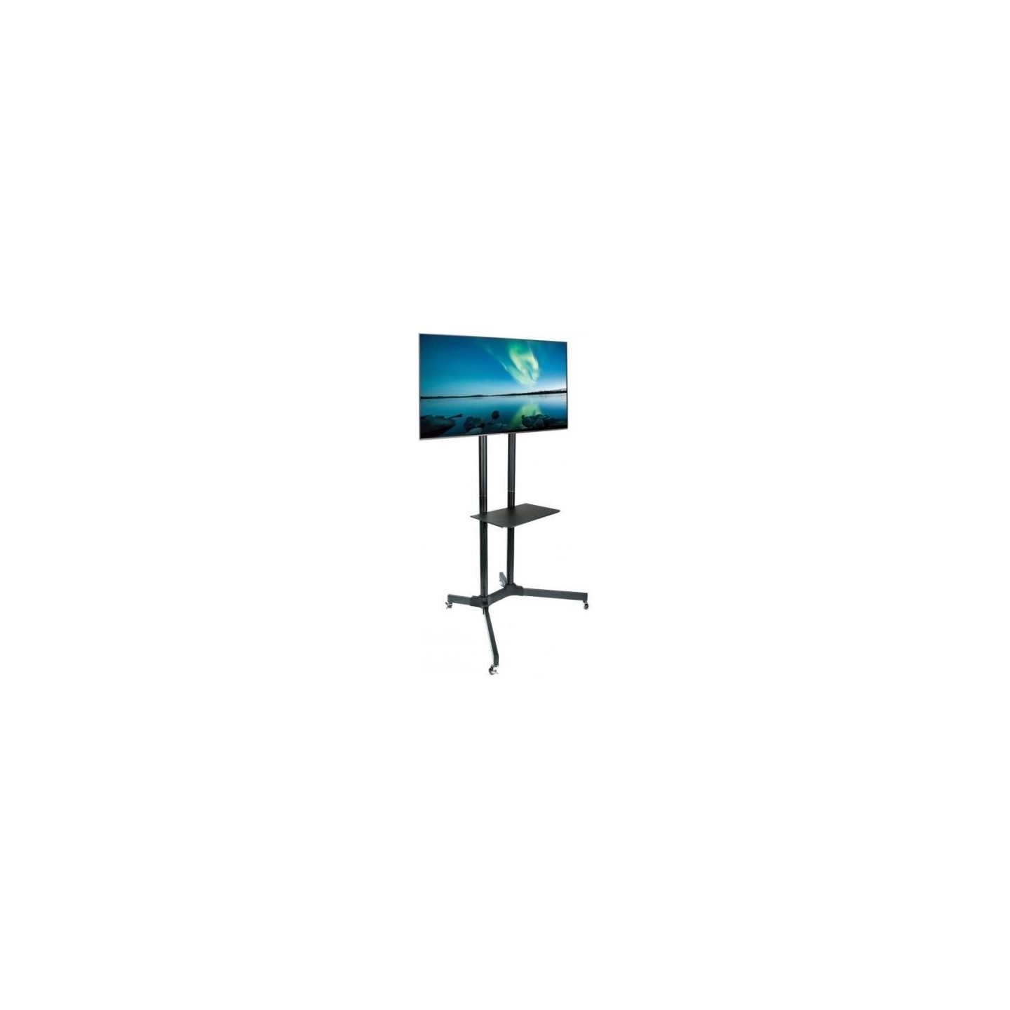 Techly Mobile stand LCD / LED 30-65cali, 60kg, adjustable