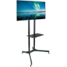 Techly Mobile stand LCD / LED 30-65cali, 60kg, adjustable