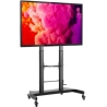 Techly mobile TV stand 60-100cali 100kg