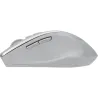 Asus Mouse | WT425 | Wireless | 2.4GHz | Fog Silver