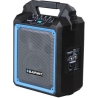 Blaupunkt Audio system MB06 PLL Karaoke