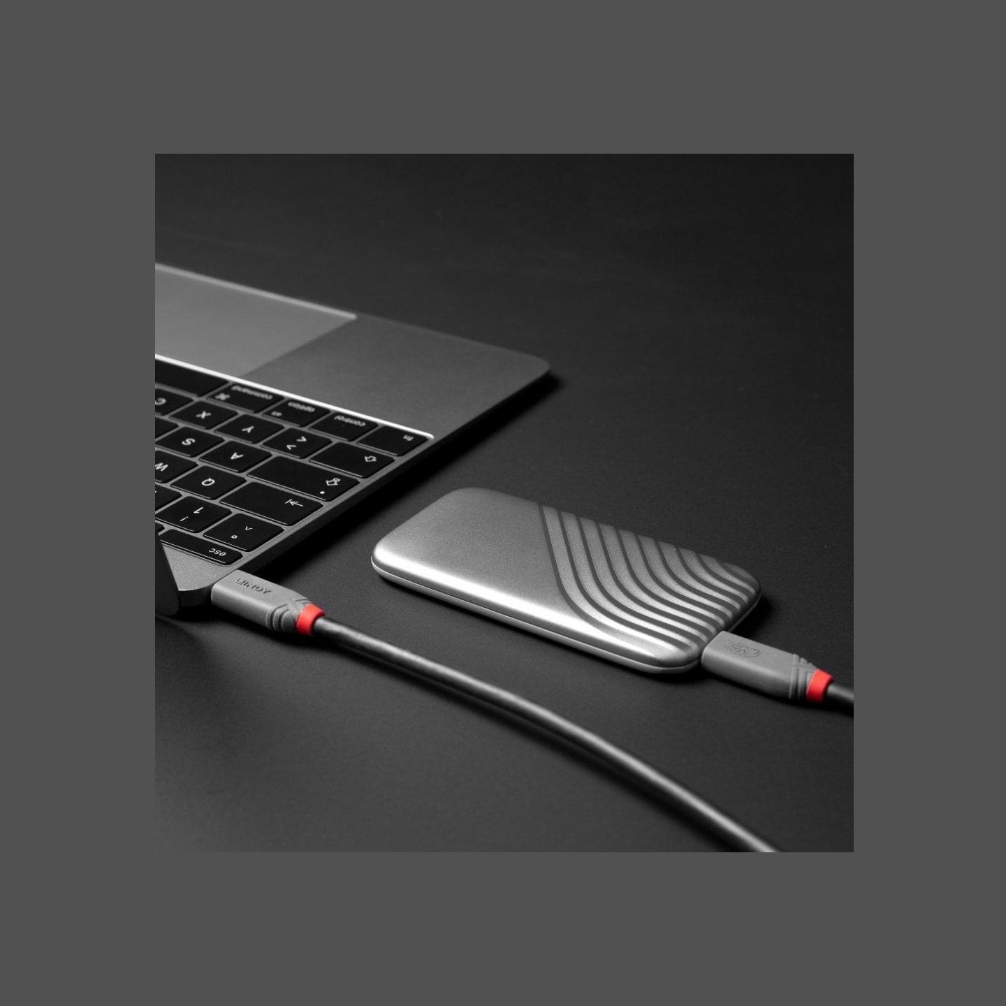 Lindy CABLE USB4 240W TYPE C 1.5M/40GBPS ANTHRA LINE 36957 LINDY