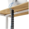 Fellowes CABLE ACC SPINE ORGANIZER/BLACK 100136871 FELLOWES