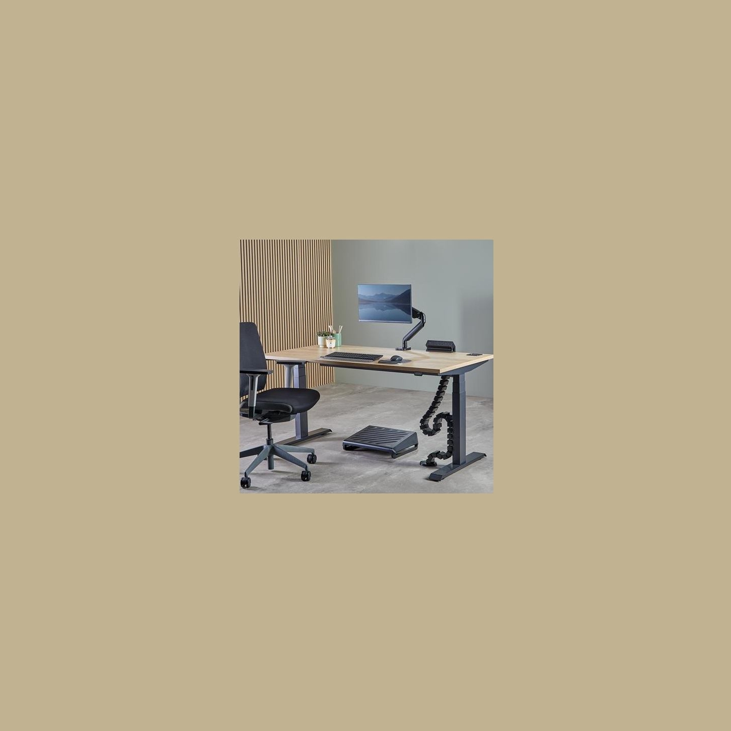 Fellowes CABLE ACC SPINE ORGANIZER/BLACK 100136871 FELLOWES