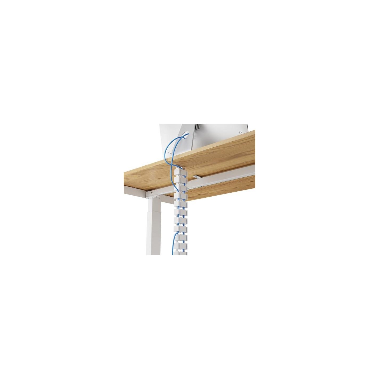 Fellowes CABLE ACC SPINE ORGANIZER/WHITE 100136872 FELLOWES