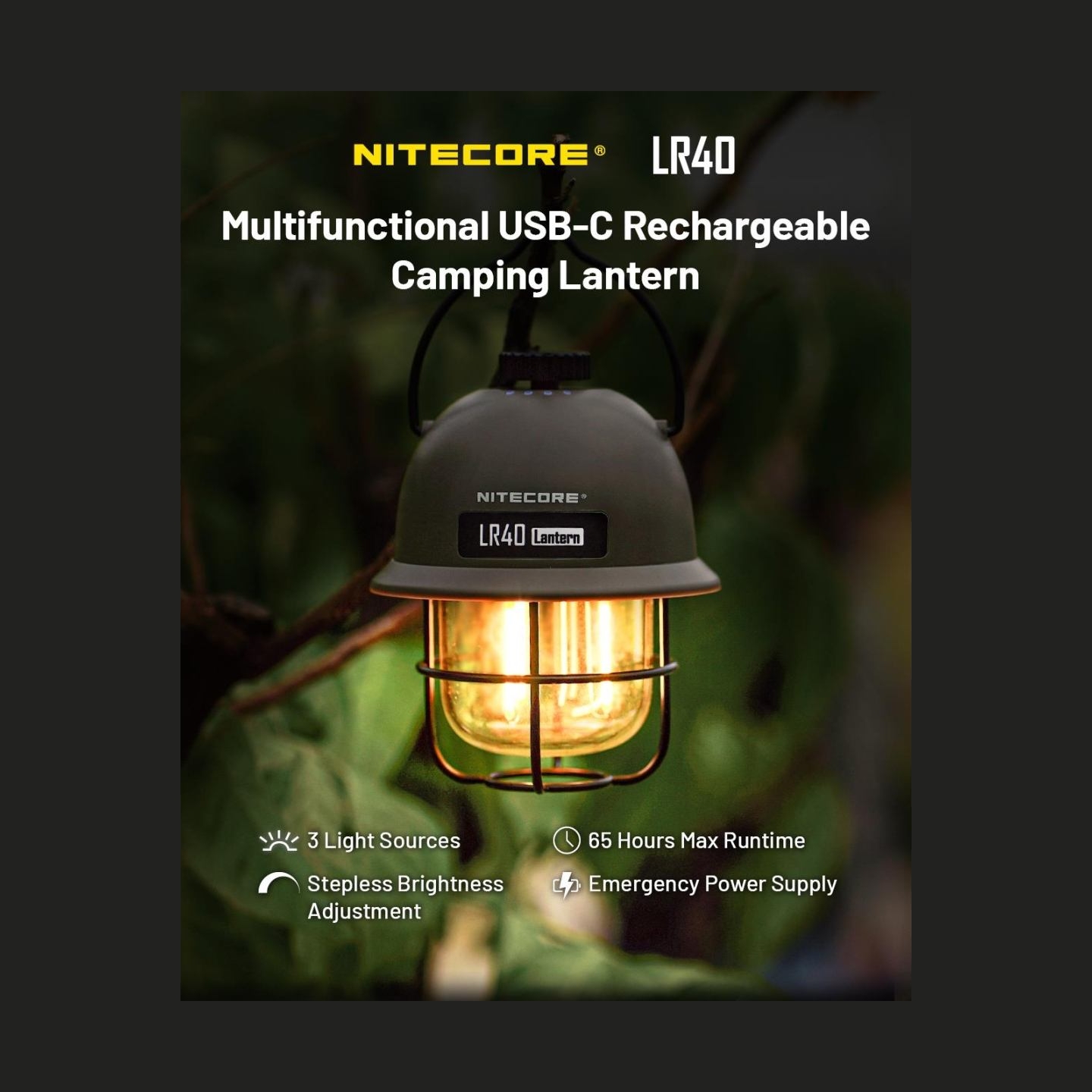 Nitecore FLASHLIGHT LAMP SERIES/100 LUMENS LR40 WHITE NITECORE