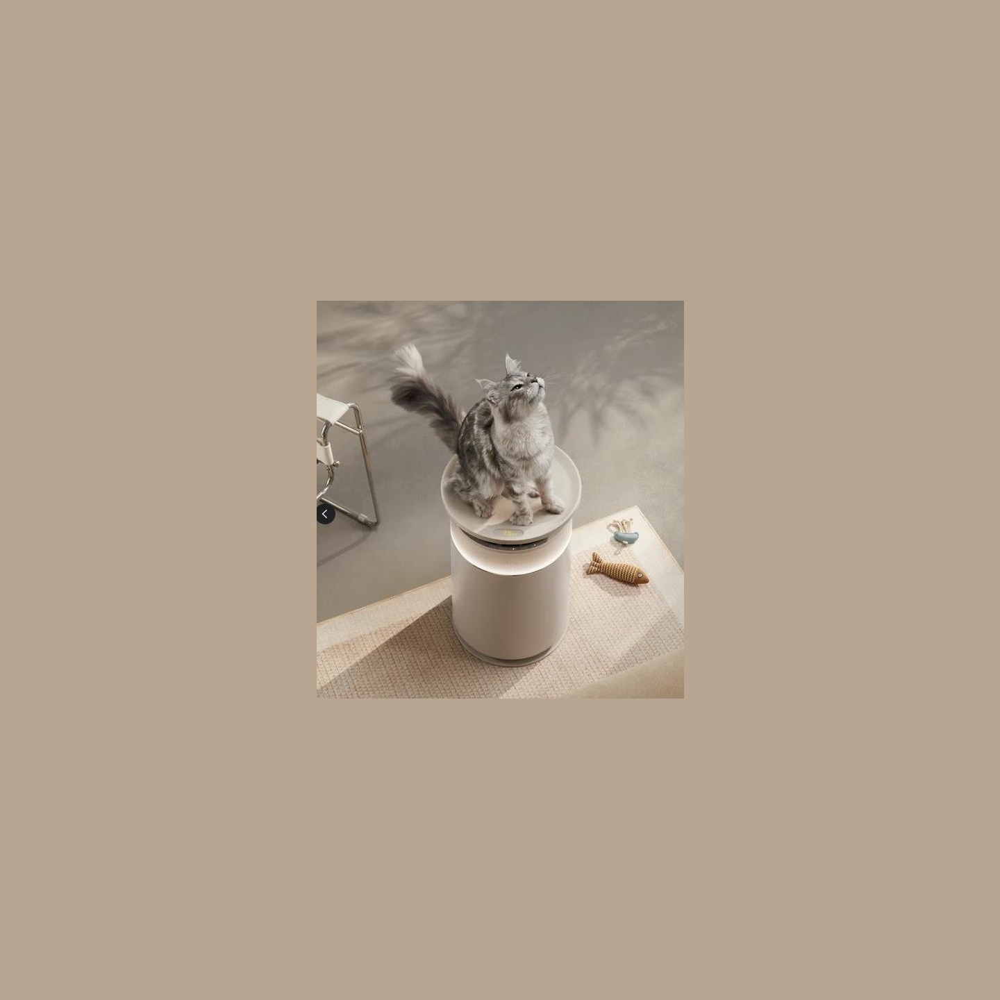Dreame AIR PURIFIER ACC PET TOP PERCH/DVS1 DREAME