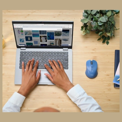 Trust MOUSE USB OPTICAL WRL BLUE/MYDO 25041 TRUST