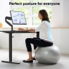 Onkron DESK FRAME MOTORISED/BLACK WDF221E-B ONKRON