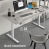 Onkron DESK FRAME MOTORISED/WHITE WDF221E-W ONKRON