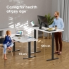 Onkron DESK FRAME MOTORISED/BLACK CDF222E-B ONKRON