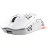 Trust MOUSE USB OPTICAL WRL GXT929W/HELOX LIGHTW WHITE 25390 TRUST