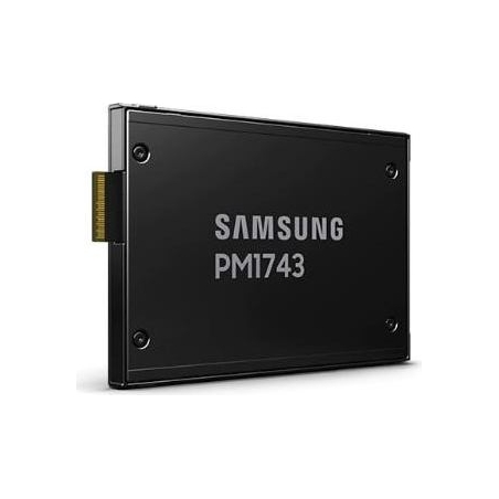 Samsung SSD|SAMSUNG|PM1743|3840 GB|PCI Express 5.0|NVMe Yes|2.5"|MZWLO3T8HCLS-00A07