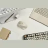 Asus Mouse | MD105 | Wireless | Bluetooth, 2.4GHz | Milky White