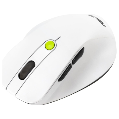 Asus Mouse | MD105 | Wireless | Bluetooth, 2.4GHz | Volt Green