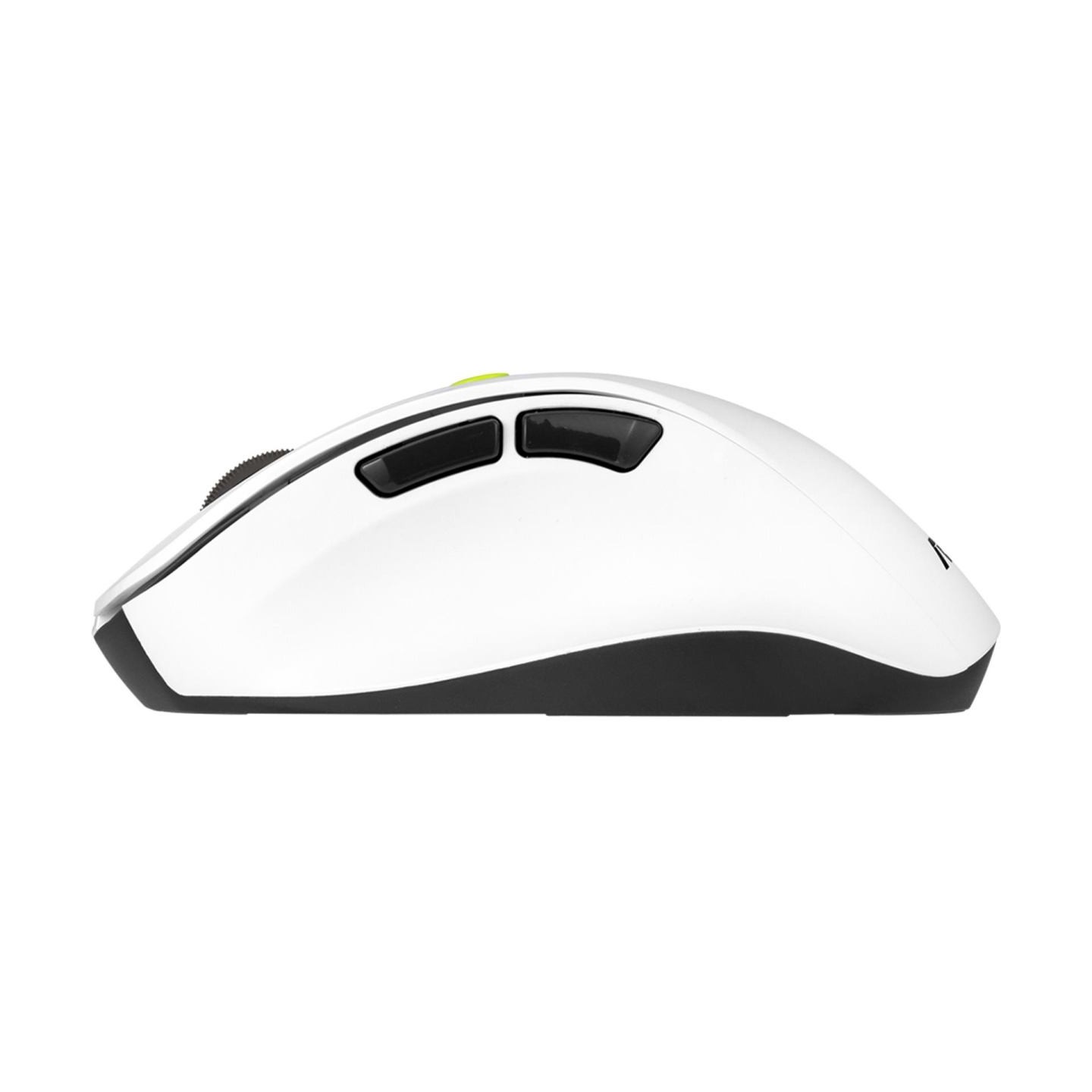 Asus Mouse | MD105 | Wireless | Bluetooth, 2.4GHz | Volt Green