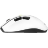 Asus Mouse | MD105 | Wireless | Bluetooth, 2.4GHz | Volt Green