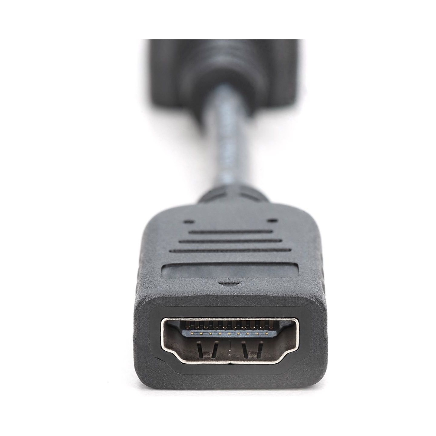 Digitus | DisplayPort Adapter/Converter | AK-340400-001-S