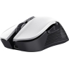 Trust MOUSE USB OPTICAL WRL YBAR/GTX923W 24889 TRUST