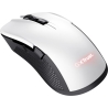 Trust MOUSE USB OPTICAL WRL YBAR/GTX923W 24889 TRUST