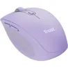 Trust MOUSE USB OPTICAL WRL OZAA/PURPLE 25384 TRUST