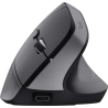 Trust MOUSE USB OPTICAL WRL BAYO+/ERGONOMIC BLK 25146 TRUST
