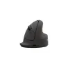 Fellowes MOUSE USB OPTICAL WRL VERTICAL/ERGO M RT 100143579 FELLOWES