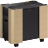 Epson Mobile A/V Cabinet | ELPCS01
