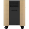 Epson Mobile A/V Cabinet | ELPCS01