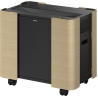 Epson Mobile A/V Cabinet | ELPCS01