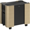 Epson Mobile A/V Cabinet | ELPCS01