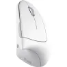 Trust MOUSE USB OPTICAL WRL VERTO/ERGONOMIC WHITE 25132 TRUST