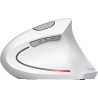 Trust MOUSE USB OPTICAL WRL VERTO/ERGONOMIC WHITE 25132 TRUST