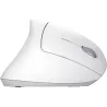 Trust MOUSE USB OPTICAL WRL VERTO/ERGONOMIC WHITE 25132 TRUST
